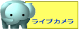 uʂvCuJf\܂B