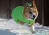 200229_141845_02