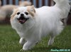 200506_105052_04