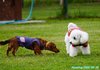 200620_144124