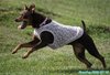 200719_144309_01