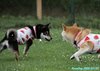 200723_121926