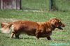 200726_123606_01
