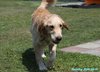 200801_104638_02