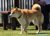 200822_125559