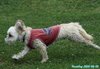 200905_103638_03