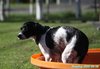 200906_145736