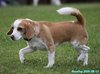 200913_140531_01