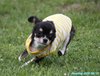 200913_150307_01