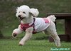 200927_133359