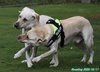 201017_130616_02