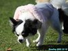 201018_123807