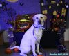201024_152450