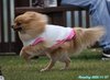201107_110337