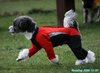 201107_144404_02