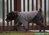 201128_141322