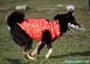201129_134015