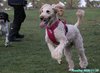 201129_152244_01