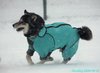 201219_142521