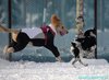 201220_143319_01