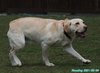 210504_103222_01
