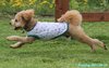 210522_132623_01