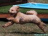 210808_105802_05