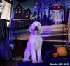 211023_134036_01