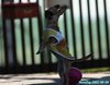 220904_144042