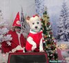 221224_131837