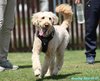 230507_104502_01