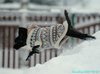 231223_142906_06