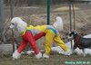 250405_110017_01
