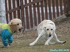 250405_141517_02