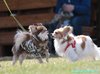 250413_105926_01