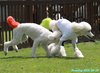 250628_103048_01