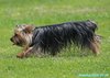 250706_113718_01