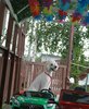 250727_144834_01